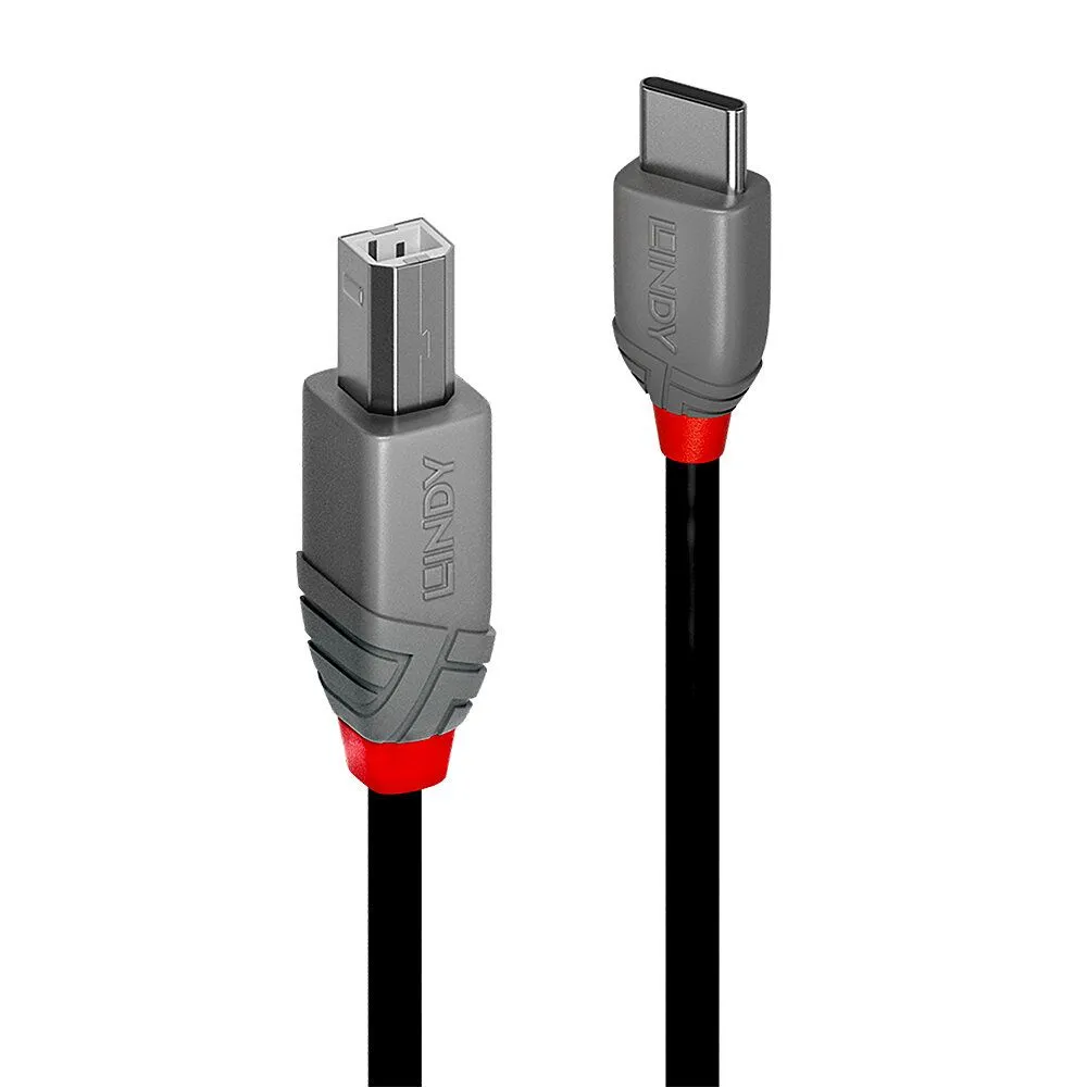 Lindy 36942 cabluri USB 2 m USB 2.0 USB C USB B Negru