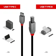 Lindy 36942 cabluri USB 2 m USB 2.0 USB C USB B Negru