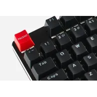 Gmmk full-size - gateron brown us