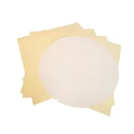 Set discuri din silicon 250mm proxxon 28968