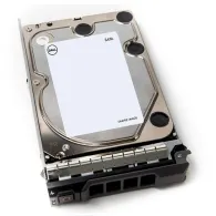 DELL 400-AEFB hard disk-uri interne 3.5" 1000 Giga Bites ATA III Serial