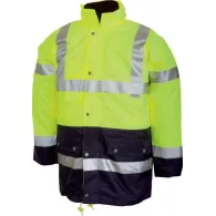 Scurta Sweden (5B62) Renania - 1