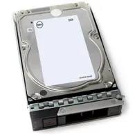 DELL 400-BLEW hard disk-uri interne 3.5" 4000 Giga Bites NL-SAS