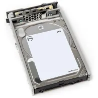 DELL 400-AEFD hard disk-uri interne 2.5" 1000 Giga Bites SATA