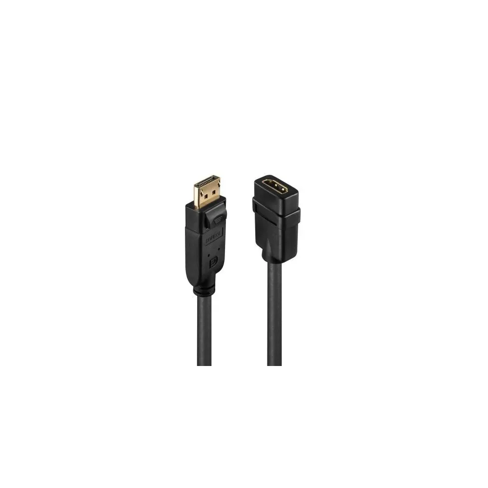 Cablu Lindy, DisplayPort - HDMI, Black
