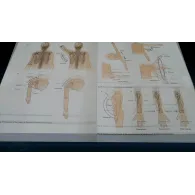 Smart scanner aura resigilat/reparat