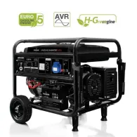 Petrol generator 9200va/fge9200ea tecnoware