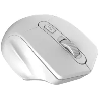 Canyon mw-15 2.4ghz wireless optical mouse with 4 buttons dpi