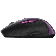 Canyon mw-01 2.4ghz wireless mouse with 6 buttons optical tracking