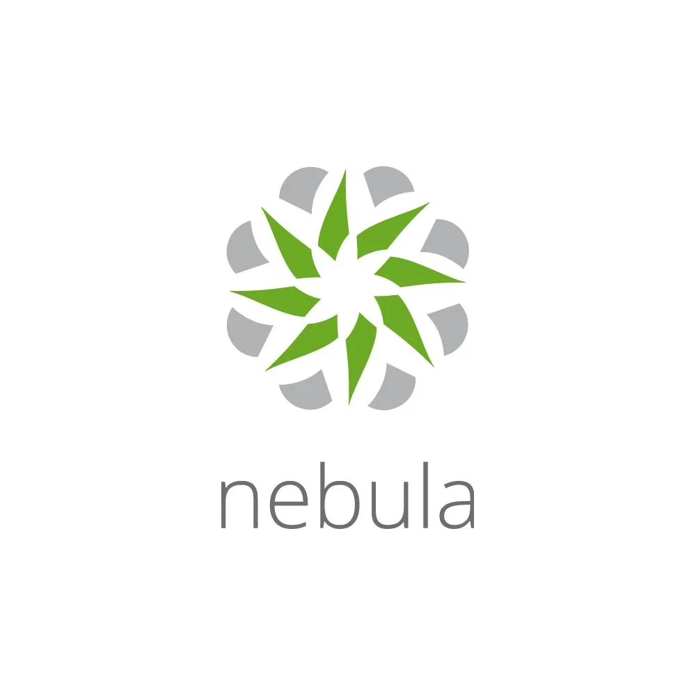 Zyxel LIC-NSS-SP-ZZ0004F licențe actualizări de software 1 licență(e) Licență 1 An(i)