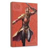 Seagate Okoye hard-disk-uri externe 2 TB Roşu