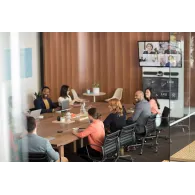 Logitech Rally boxe Grafit Prin cablu