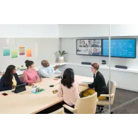 Logitech Rally boxe Grafit Prin cablu