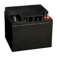 Bosch IPS-BAT12V-45AH accesoriu senzor