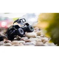 Mini rc car army