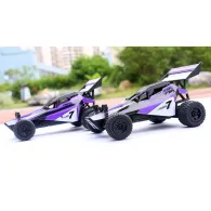 Masina rc phantom by quer