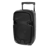 Boxa portabila activa 10 inch 20w sd usb bluetooth azus