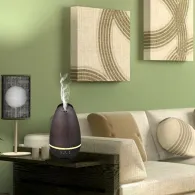 Umidificator cu ionizare platinet