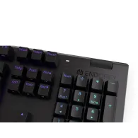 Keyboard Endorfy Omnis