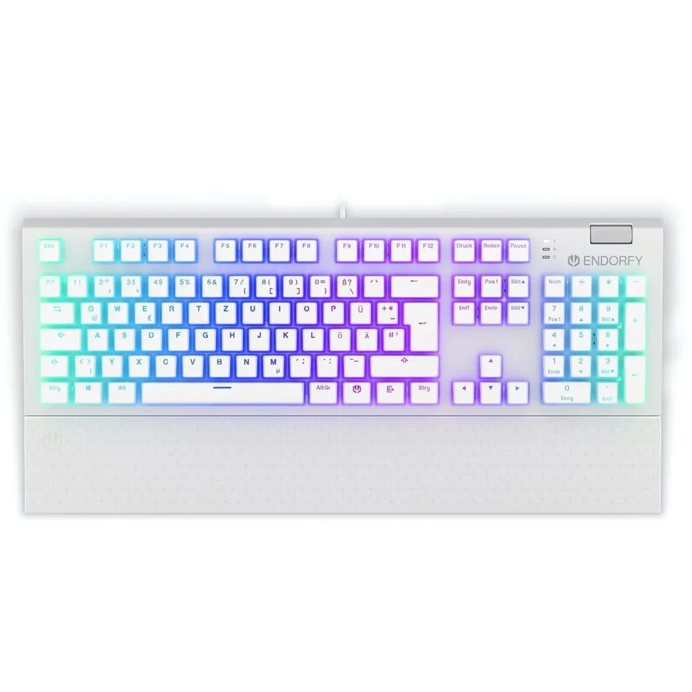 Endorfy keyboard Omnis - white