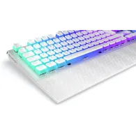 Endorfy keyboard Omnis - white