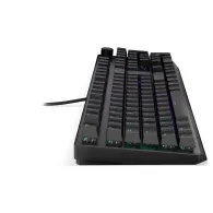 Endorfy keyboard EY5D021 - black