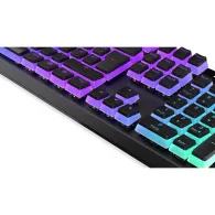 Endorfy keyboard EY5D023 - black