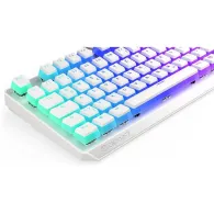 Endorfy keyboard Thock EY5D013 - white