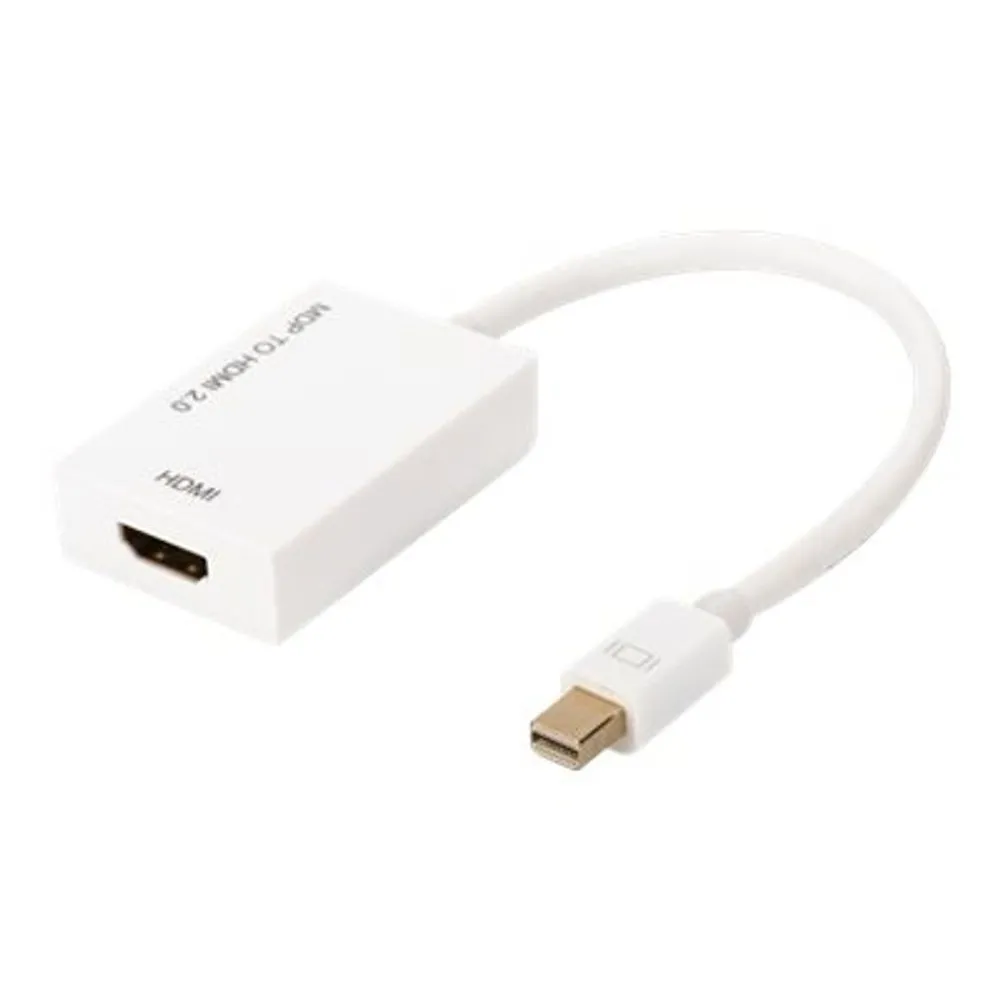 ASSMANN adapter - DisplayPort / HDMI - 20 cm