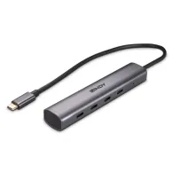 Lindy 43384 hub-uri de interfață USB tip-C 10000 Mbit s Gri