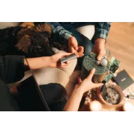 Verbatim Vx500 2 TB Argint