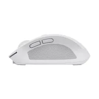 Trust Ozaa mouse-uri Mâna dreaptă RF Wireless + Bluetooth Optice 3200 DPI