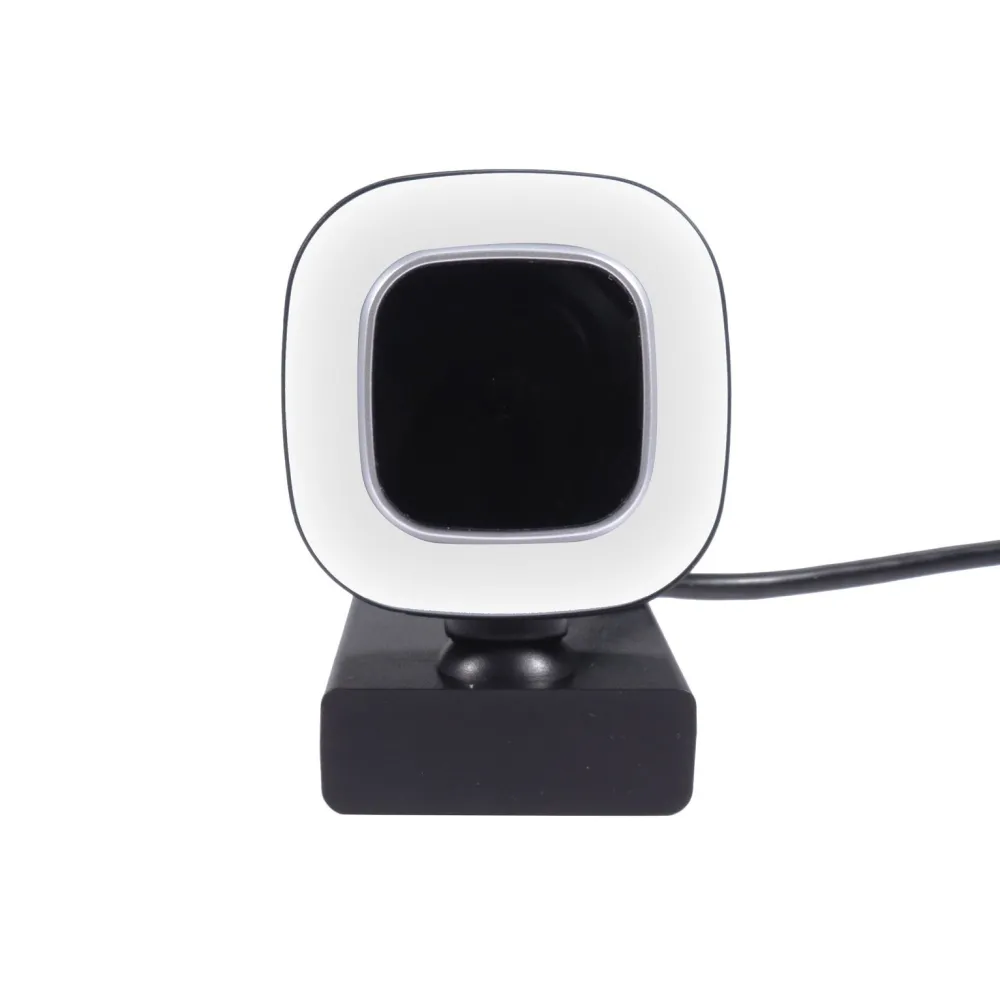 Camera web Well 1080p, cu microfon, H264