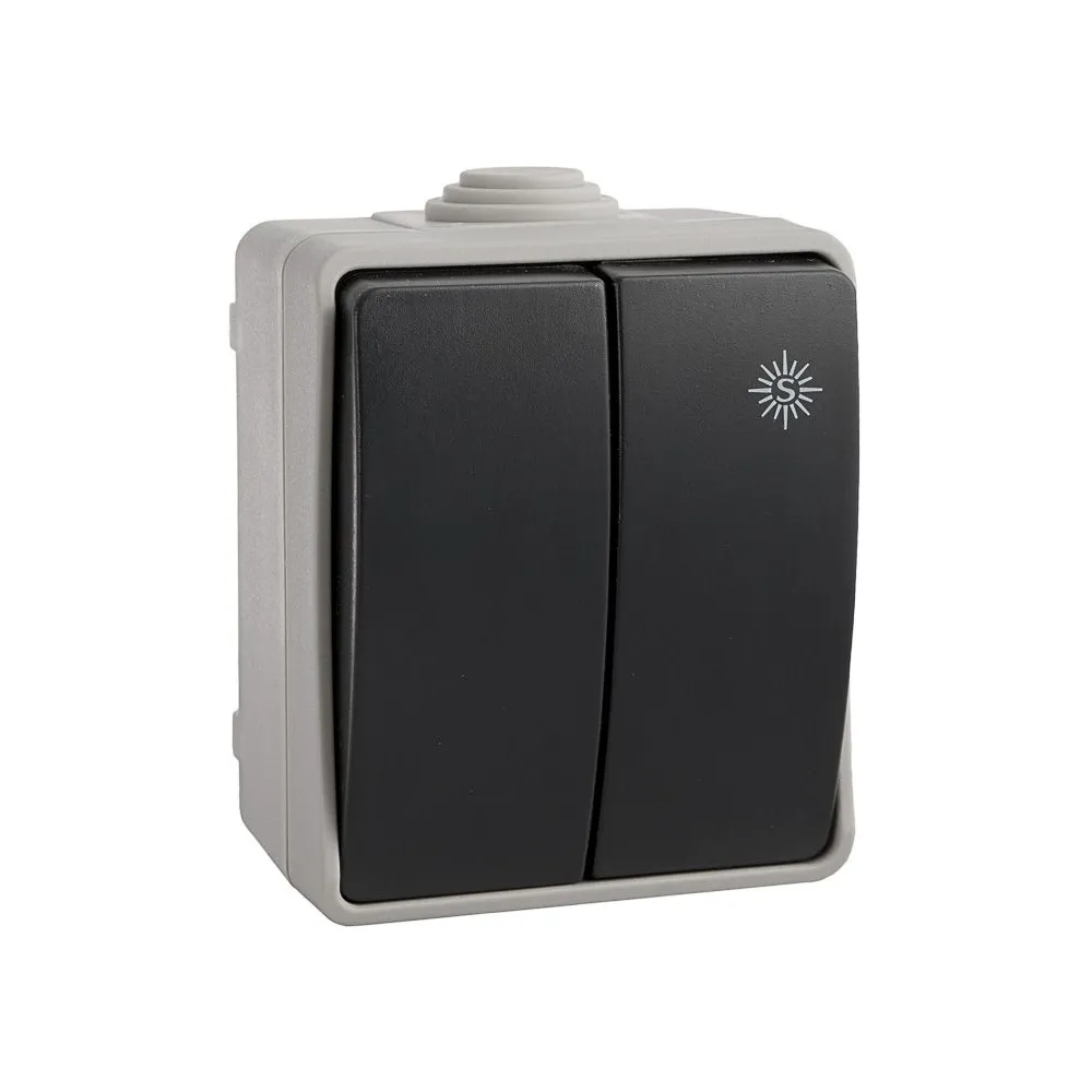 Intrerupator dublu Solera 3313 aparent gri IP54