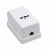 Intellinet 162739 cutii de joncțiune Alb