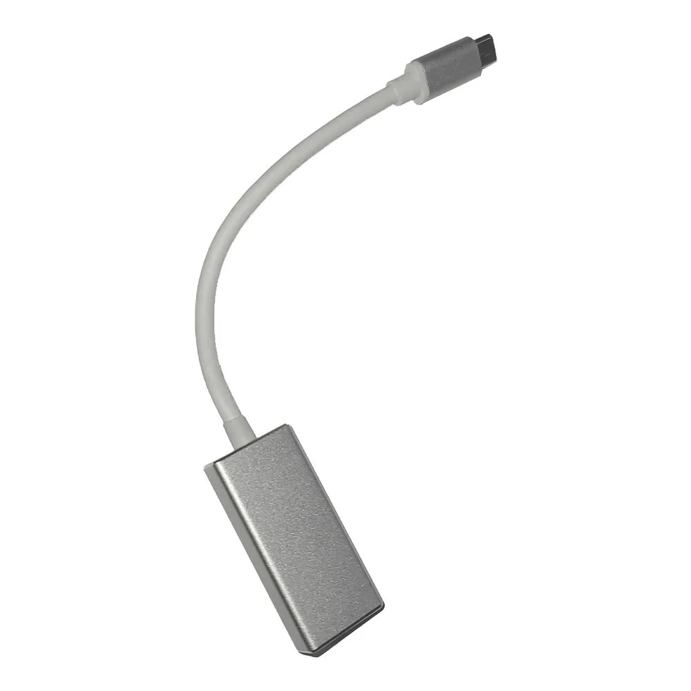 Adaptor Spacer SP-CM-DPF-01, Displayport - USB-C, silver, 15cm