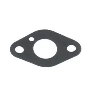 Garnitura carburator PS100XL-2-36