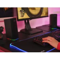 Trust GXT 612 CETIC boxe Negru Prin cablu & Wireless 18 W