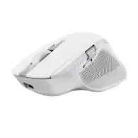 Trust Ozaa+ mouse-uri Birou Mâna dreaptă RF Wireless + Bluetooth Optice 3200 DPI