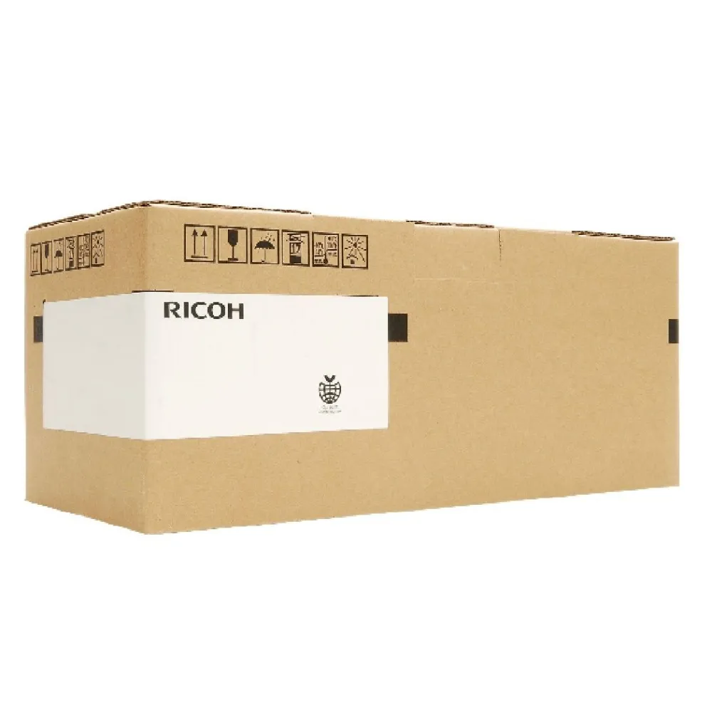 Ricoh D1966002 kit-uri pentru imprimante Kit transfer
