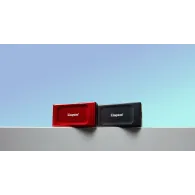 Kingston Technology XS1000 Red 1 TB Roşu