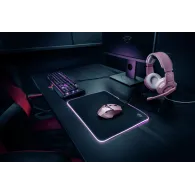 Trust GXT 101P mouse-uri Gaming Mâna dreaptă USB Tip-A Optice 4800 DPI