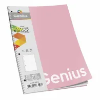 Caiet studentesc dictando cu spira, 80 file