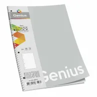 Caiet studentesc dictando cu spira, 80 file