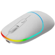 Canyon mouse mw-22 2in1 bt/ wireless snow white