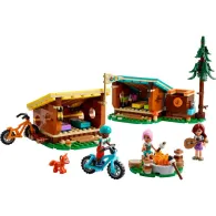 Cabane conf.tabara de aventurilego42624