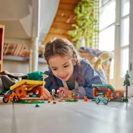 Cabane conf.tabara de aventurilego42624