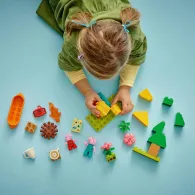 Excursie cu cortul lego 10452