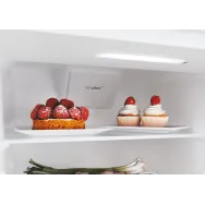 Candy Fresco CBL5519EVW Încorporat 294 L E Alb