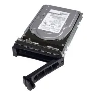 DELL 161-BBRC hard disk-uri interne 2 TB 7200 RPM 3.5" ATA III Serial